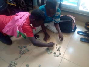 Pupils keeping count on seeds submitted each day