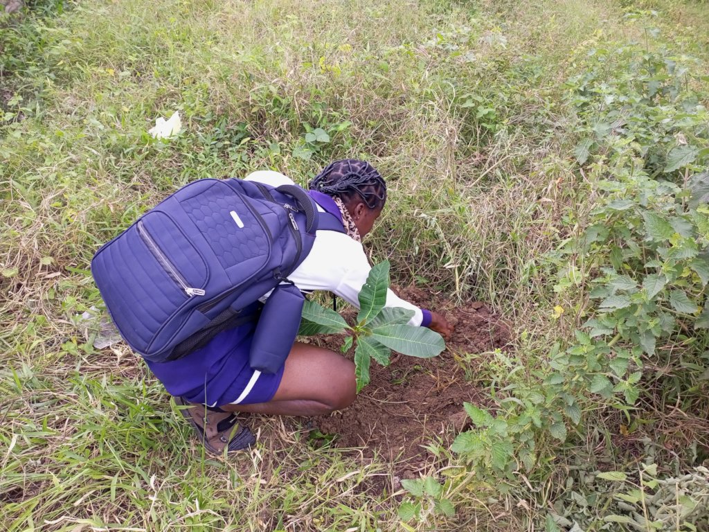 PLANT 100 FRUIT TREES IN EACH SCHOOL