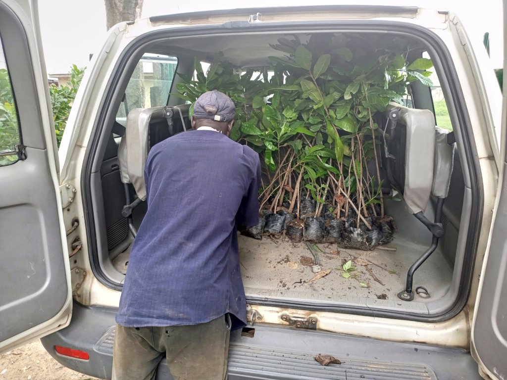 PLANT 100 FRUIT TREES IN EACH SCHOOL