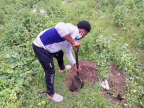 Student digging holes for the trees