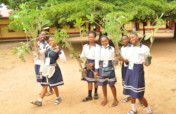 PLANT 100 FRUIT TREES IN EACH SCHOOL