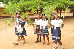 PLANT 100 FRUIT TREES IN EACH SCHOOL