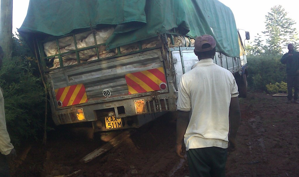 Harvest headed for storage and drying