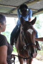 Equine Therapy