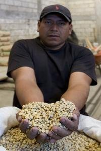 Increasing Crops, Protecting Land in Guatemala