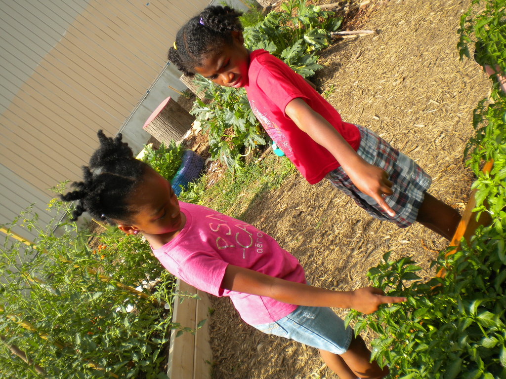 Investigating and discovering our environment