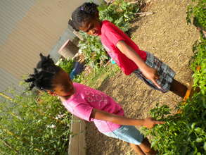 Investigating and discovering our environment