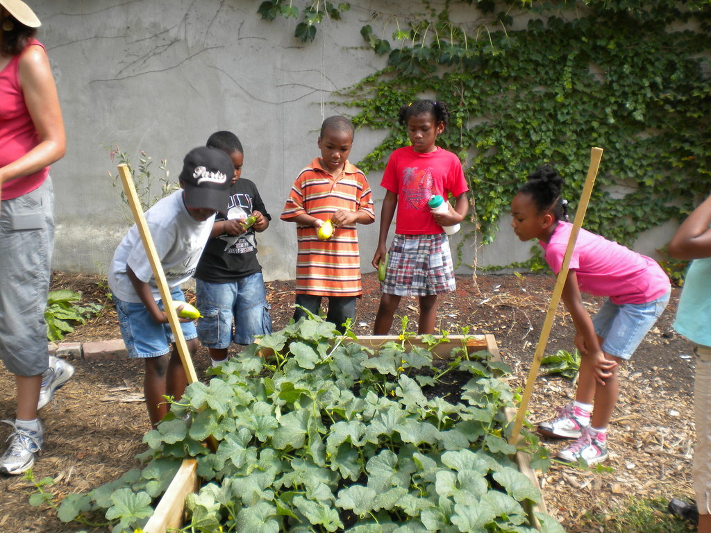 Help 95 DC Kids Extend Learning After School