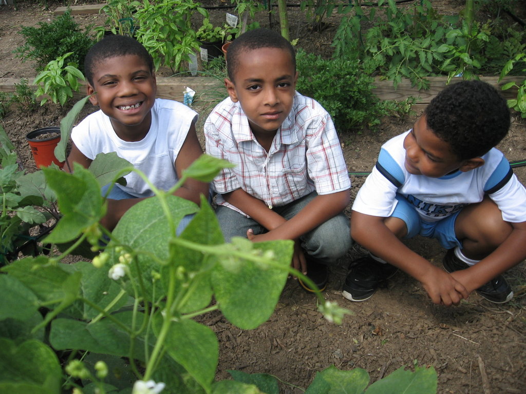Help 95 DC Kids Extend Learning After School