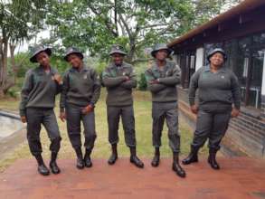 Environmental Monitors