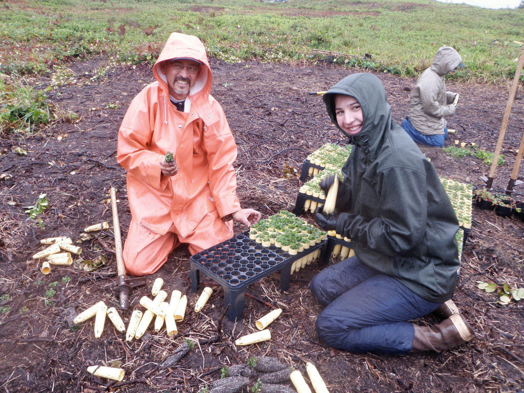 Saving Endangered Pacific Northwest Butterflies