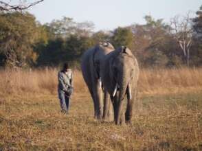 WWF-US / Madelaine Barr