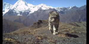DOFPS, MOENR BHUTAN