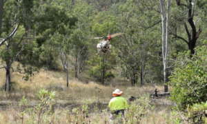 Queensland Trust for Nature / WWF Australia