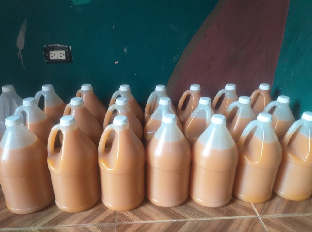 Educate and Nourish 100 Dominican Children