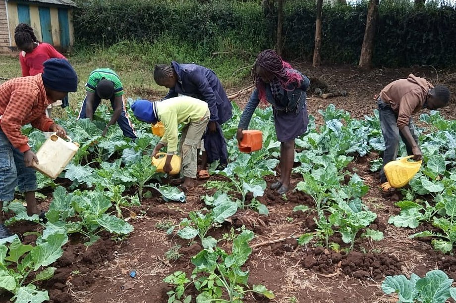 Give reliable fresh water to 2,500 Kenyan children