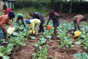 Watering the crops at Ciamanda