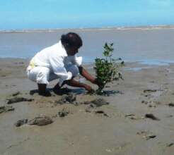 Planting work