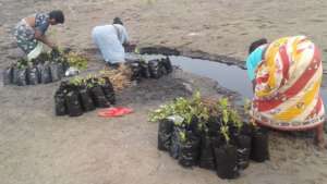 Nursery rising work