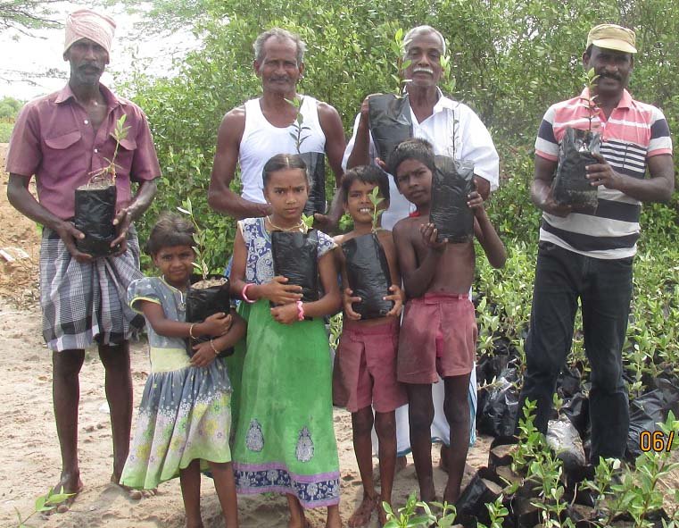 Wet Land Mangrove promotion and Conservation