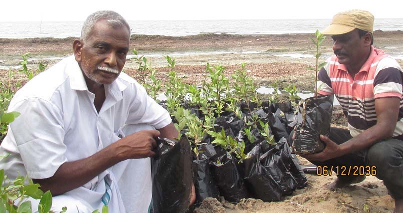 Wet Land Mangrove promotion and Conservation