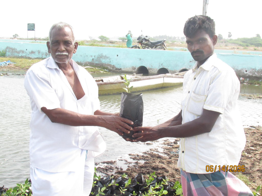 Wet Land Mangrove promotion and Conservation