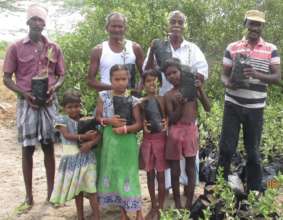 Preparation for Mangroves' planting works