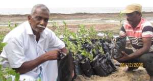 In planting work