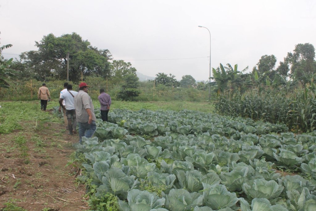 Foundation delivers food to IDPs in Nigeria, Cameroon, and Chad