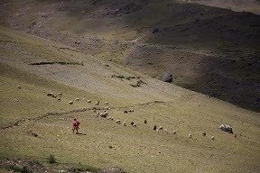 Secure an income for rural Quechua women weavers