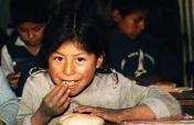 Increasing Food Supply for Quechua Communities