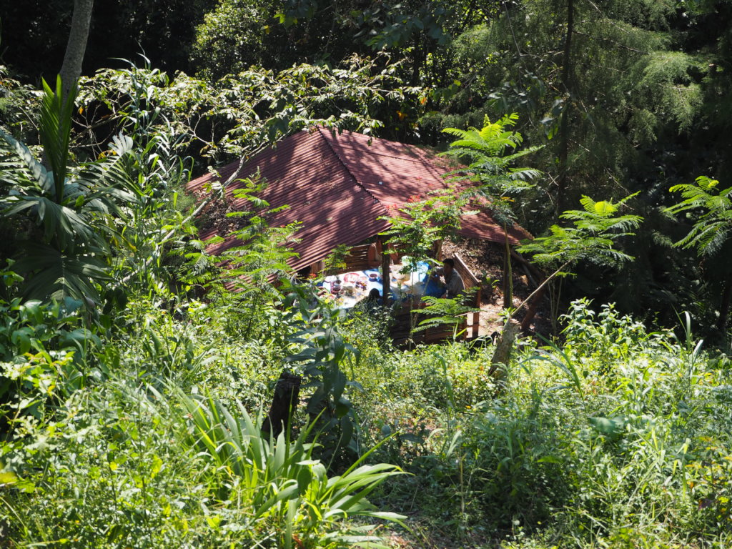 Planting the seeds of a better future in Guatemala