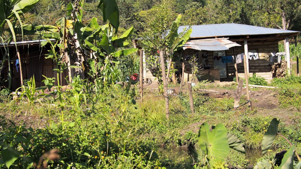 Planting the seeds of a better future in Guatemala
