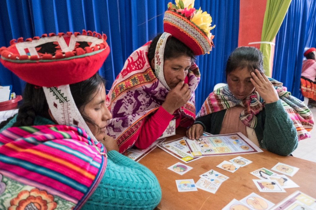 Economic Empowerment for Peruvian Health Educators