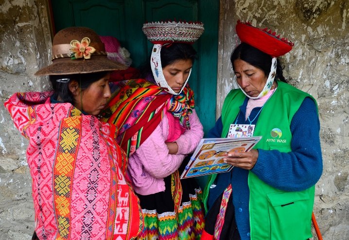 Economic Empowerment for Peruvian Health Educators