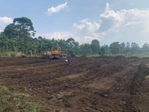 Levelling the land
