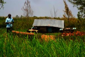 The house is brought down by the flood waters