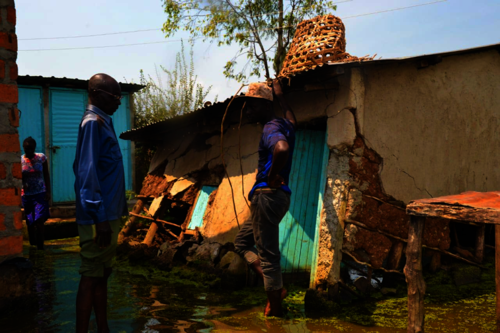 Save 50 Flood Survivors to rebuild their houses.