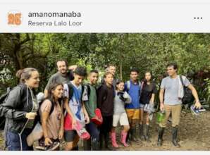 Looking after our forest