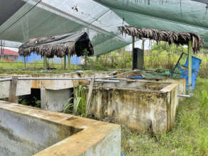Growbeds look bad but are in good shape