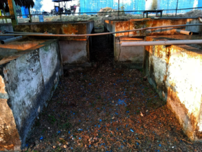Before: Fire scorched the tanks & killed the fish