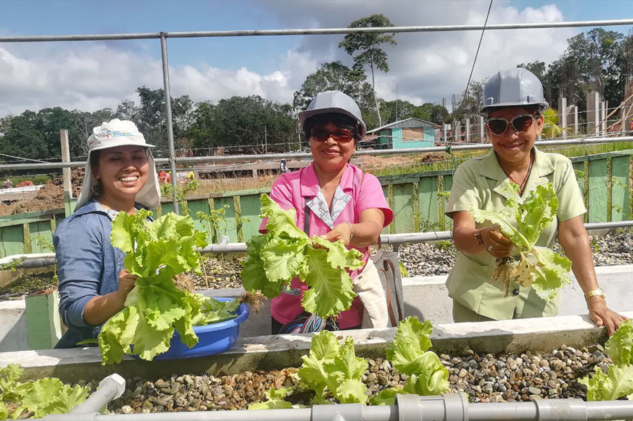 Restore Food Source for Indigenous Community-Peru