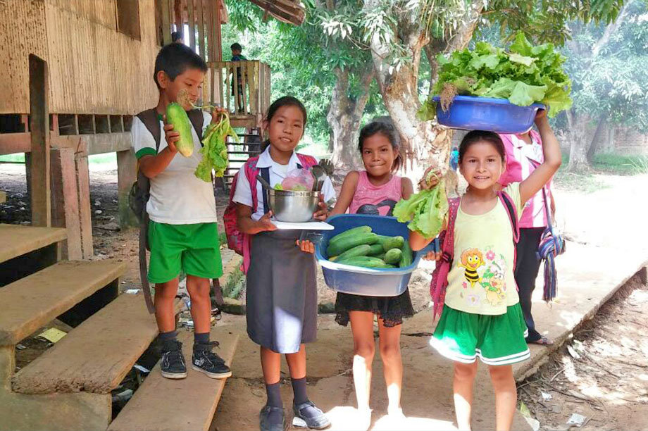 Restore Food Source for Indigenous Community-Peru