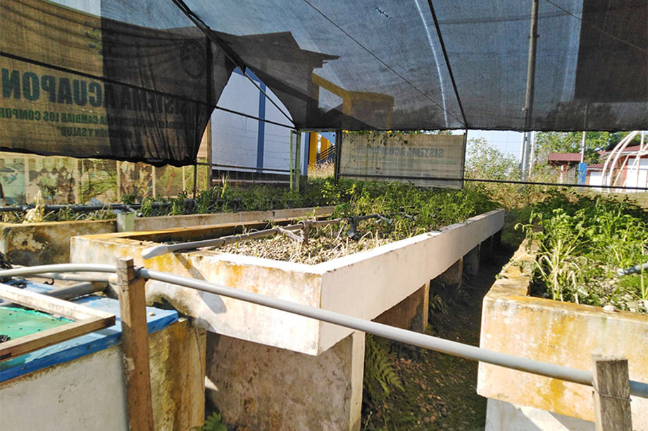 Restore Food Source for Indigenous Community-Peru
