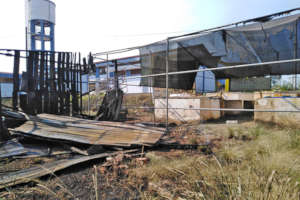 After the fire - no greenhouse