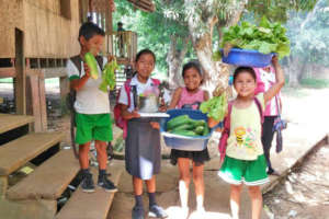 Before the fire - food security