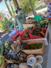 Chef Caroline at a Veggie Van Mobile Market