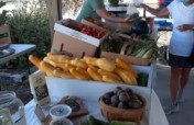 Help Increase Food Access and Security in Rural NC
