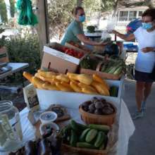 Help Increase Food Access and Security in Rural NC
