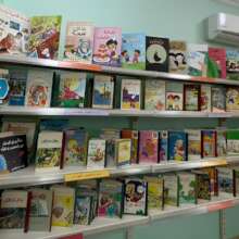 The Library Established for Special Needs.